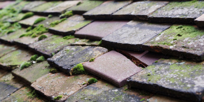 Pentre Poeth roof repair costs